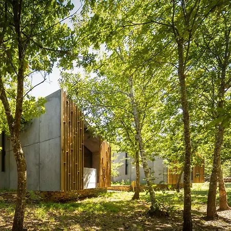 Syntony - Paradinha Village * Arouca