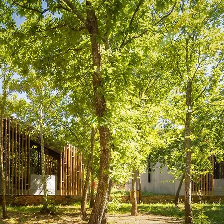 Syntony - Paradinha Village *