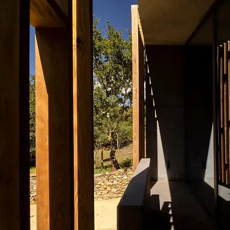 Syntony - Paradinha Village * Arouca