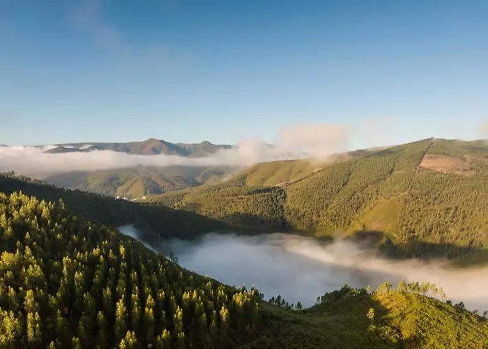 Syntony - Paradinha Village