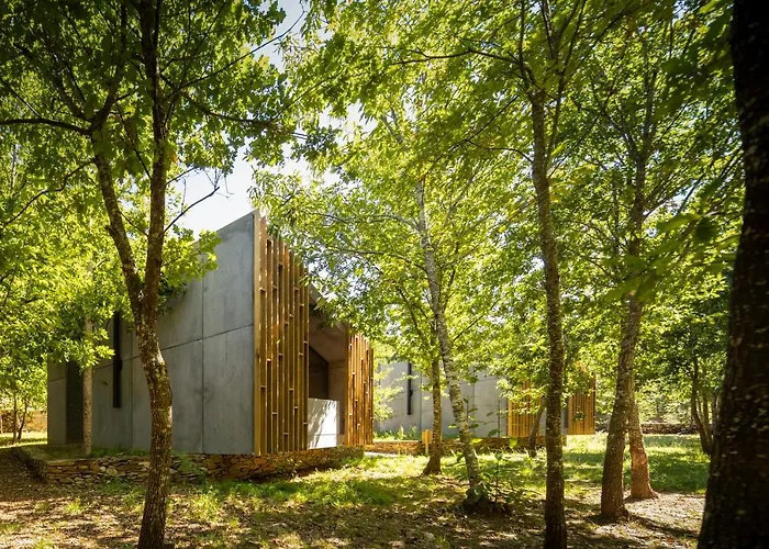 Syntony - Paradinha Village * Arouca