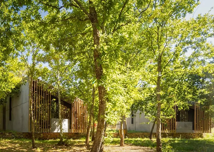 Syntony - Paradinha Village *