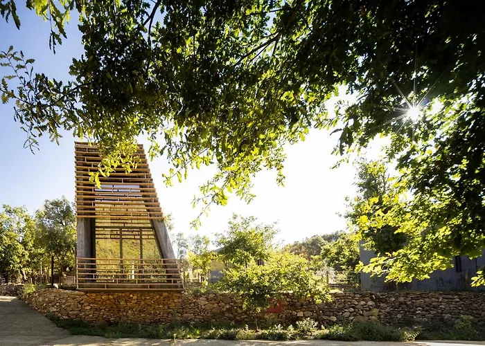 Syntony - Paradinha Village Arouca